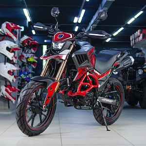 Мотоцикл турэндуро ROCKOT HOUND 250 LUX (красный, ЭПТС)