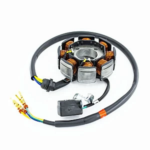 Статор генератора двиг. ZS 175FMM-5 (PR300) DRIVEPARTS